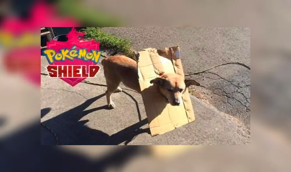 Pokémon Shield and Sword: nuevo juego de Pokémon provoca graciosos memes [FOTOS]