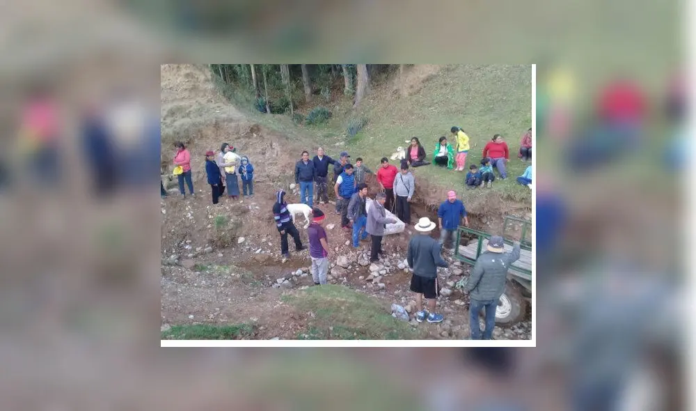 Junín: Encuentran fósiles de dos elefantes prehistóricos en el Valle del Mantaro