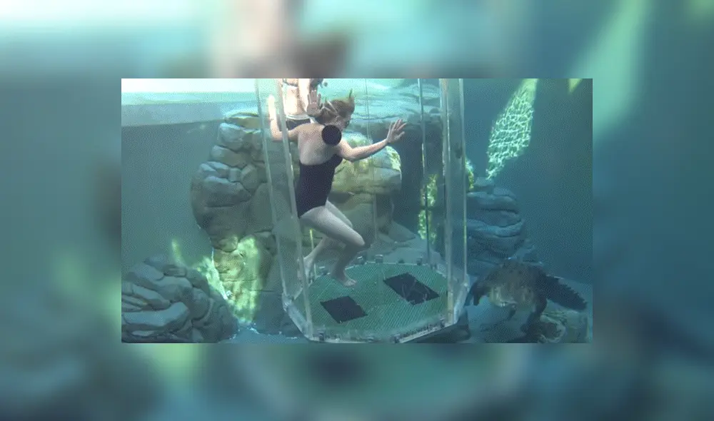 YouTube viral: chicas se sumergen en santuario de enorme cocodrilo y quedan horrorizadas 