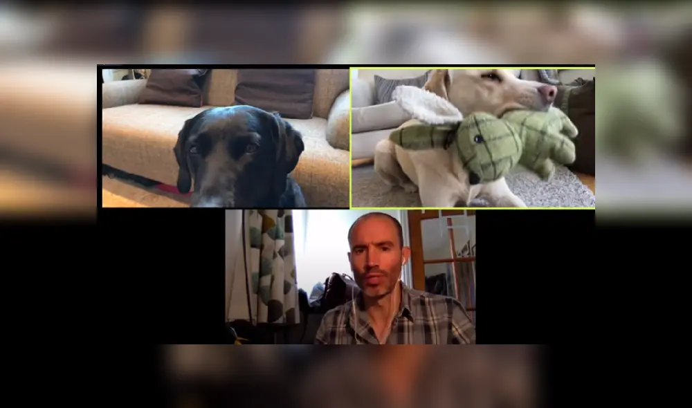 Desliza las imágenes para ver más sobre esta divertida 'conversación' que es viral en YouTube.