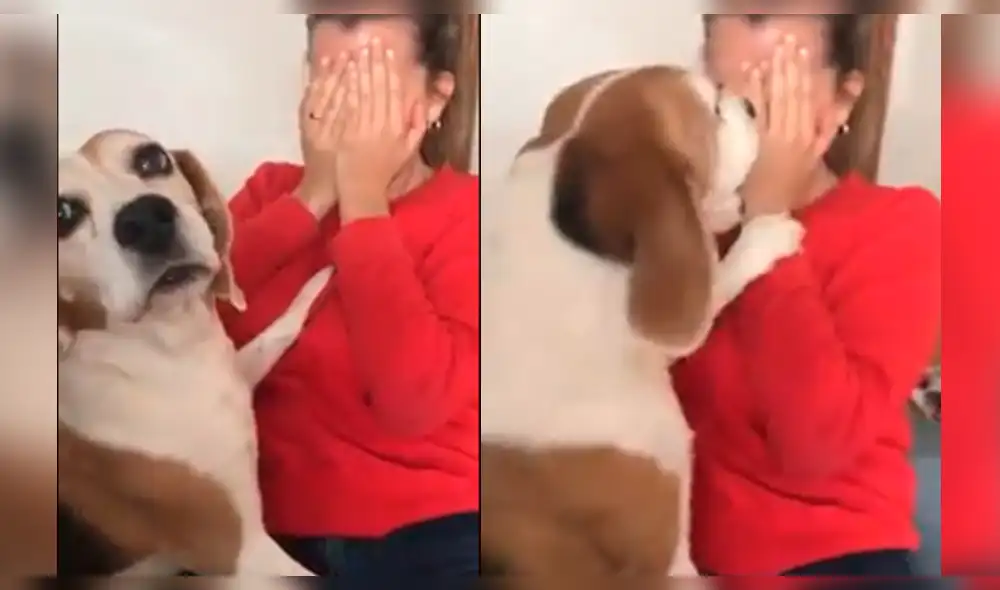 Facebook: mujer finge llorar frente a su perro y este tiene emotiva reacción [VIDEO]