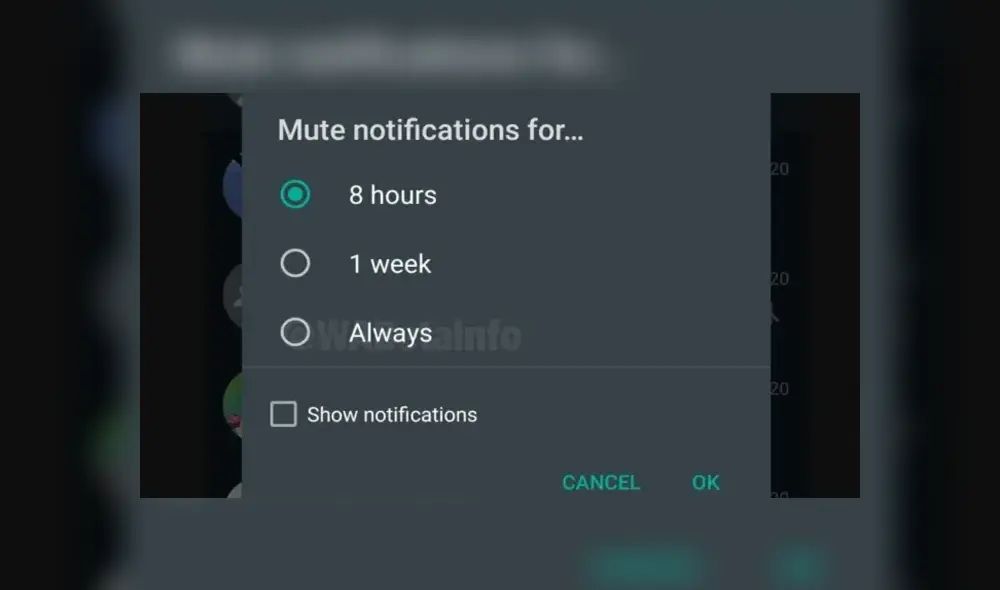 Pronto habrá la opción de silenciar para siempre un grupo de WhatsApp. Foto: WABetaInfo. Pronto habrá la opción de silenciar para siempre un grupo de WhatsApp. Foto: WABetaInfo.