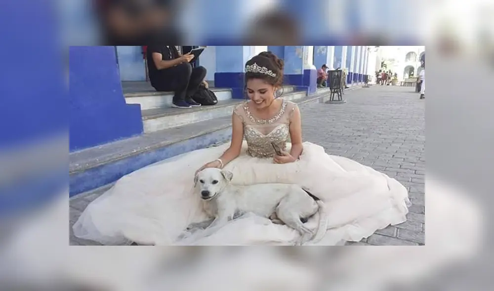 Desliza las imágenes para observar la acción de un perro al percatarse que una joven tenía una sesión de fotos.