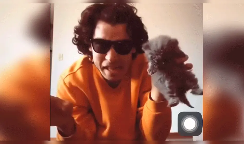 Facebook: influencer peruano usa a gato para cruel broma y genera críticas [VIDEO]