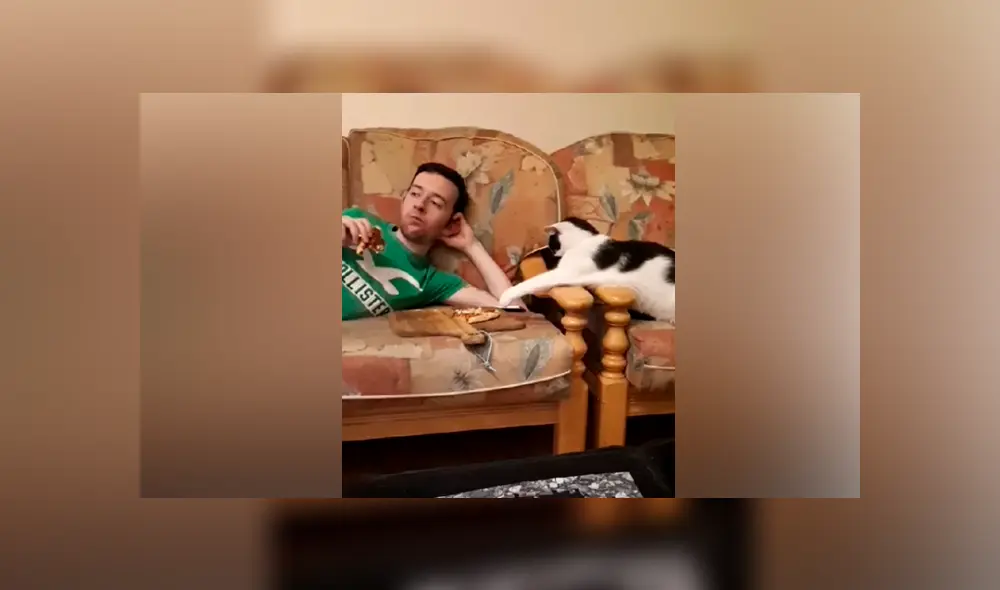 Desliza las imágenes para ver la curiosa escena que protagonizó este gatito al querer ‘robar’ un poco de comida a su dueño. Fotocapturas: ViralHog/YT Desliza las imágenes para ver la curiosa escena que protagonizó este gatito al querer ‘robar’ un poco de comida a su dueño. Fotocapturas: ViralHog/YT