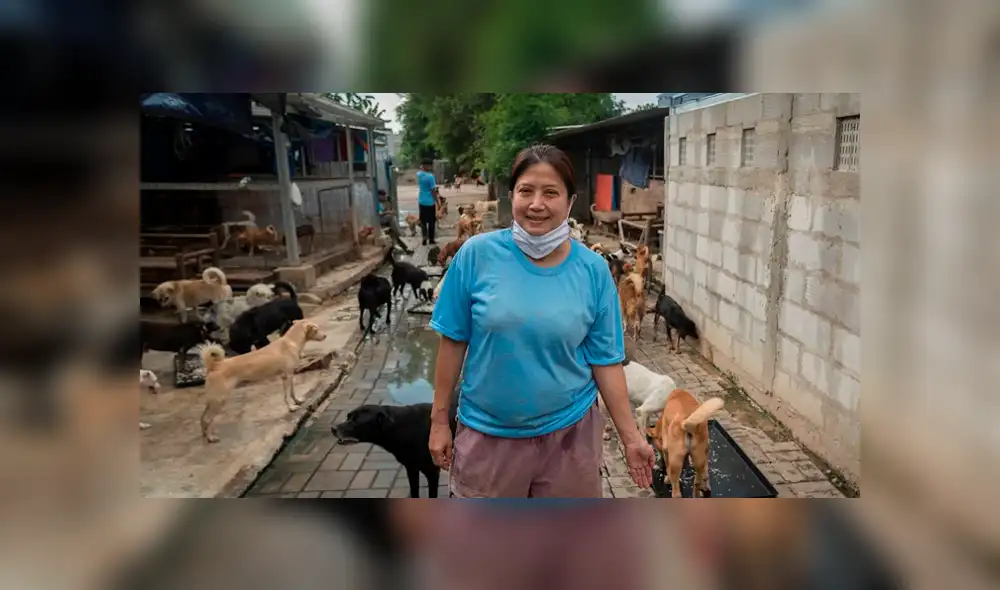 Somali y su equipo del refugio salen a las calles y carnicerías par rescatar a los perros. Foto: Instagram