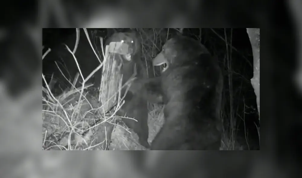 Mira la secuencia de la pelea deslizando la imagen. Foto: RT/YouTube Mira la secuencia de la pelea deslizando la imagen. Foto: RT/YouTube