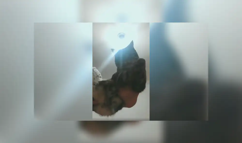 Desliza a la izquierda para conocer más sobre este nuevo viral de Facebook. Foto: Captura.