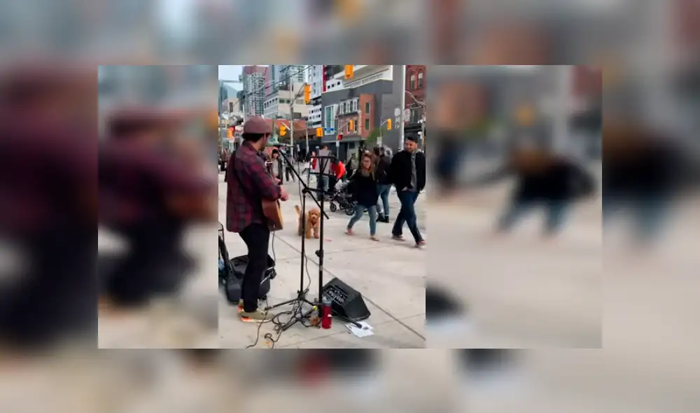Vía YouTube. El cachorro detuvo el paseo con su dueña en plena avenida y su adorable conducta ante show de artista callejero conmovió a todos