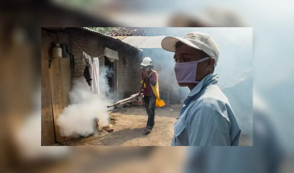 El virus del dengue se transmite pincipalmente por mosquitos de la especie 'Aedes Aegypti'. (Foto: DW)