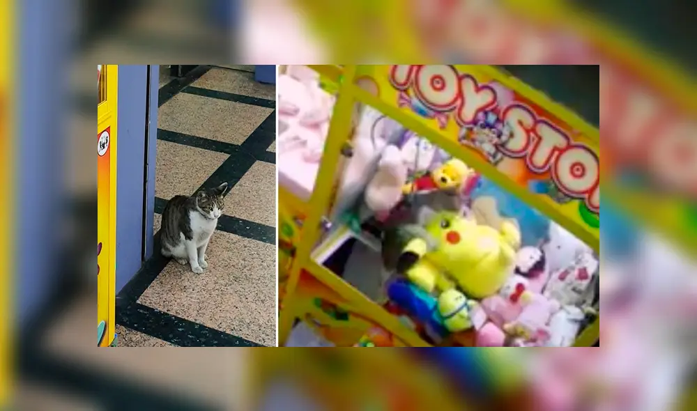 Desliza para ver detalles del video viral publicado en Facebook. Foto: Captura. Desliza para ver detalles del video viral publicado en Facebook. Foto: Captura.