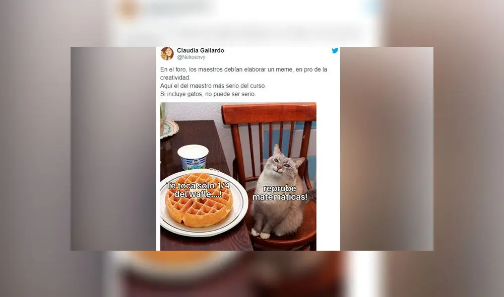 Creativos memes fueron compartidos en redes sociales por el Día Internacional del Gato. Creativos memes fueron compartidos en redes sociales por el Día Internacional del Gato.