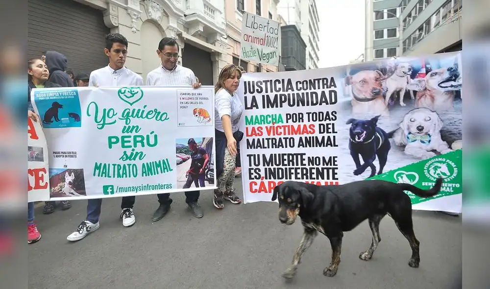 Grupo de animalistas busca concientizar sobre el maltrato animal [FOTOS]