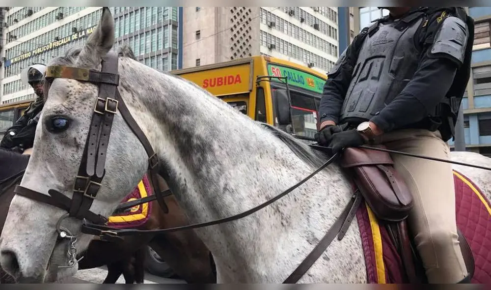 Huelga de profesores: docentes denunciaron maltrato en caballos de la 'Policía montada' [FOTOS]