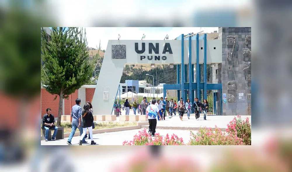 Médicos egresados solicitan a la UNA Puno que atienda su pedido para que participen en Serums. Médicos egresados solicitan a la UNA Puno que atienda su pedido para que participen en Serums.