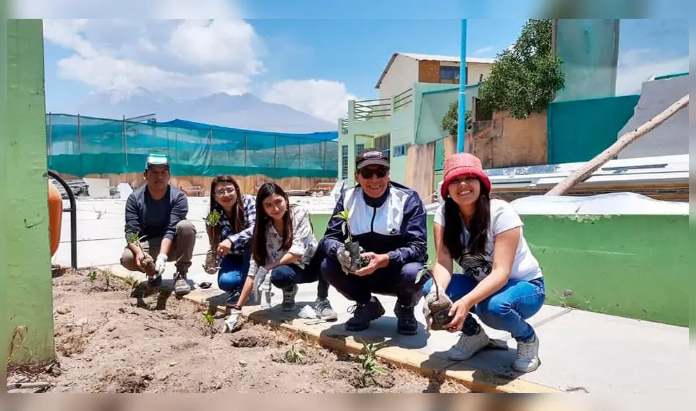 Arequipa. Cientos de voluntarios instalaron árboles en la provincia de Islay.