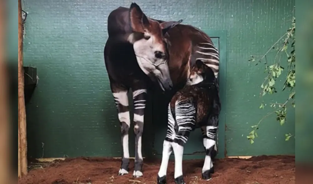 A market trader shows different currency notes in Caracas on March 10, 2019, during the third day of a massive power outage which has left Venezuelans without communications, electricity and water. - The unprecedented power outage already left 15 patients dead and threatens to extend indefinitely, increasing distress for the severe political and economic crisis hitting the oil-rich South American nation. (Photo by Cristian Hernandez / AFP)