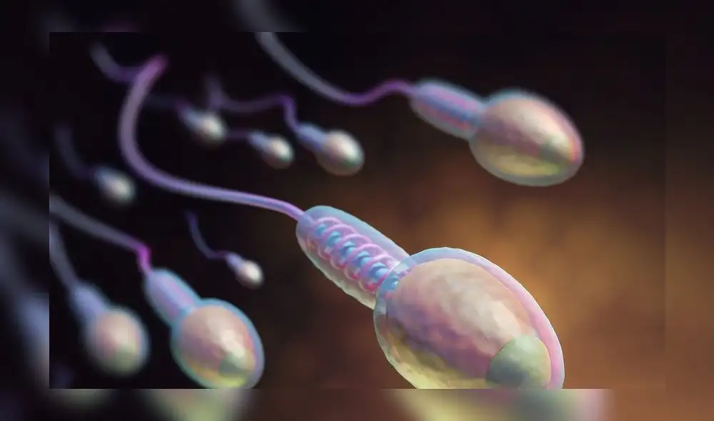 ¿Por qué el sexo oral puede impedir abortos espontáneos?