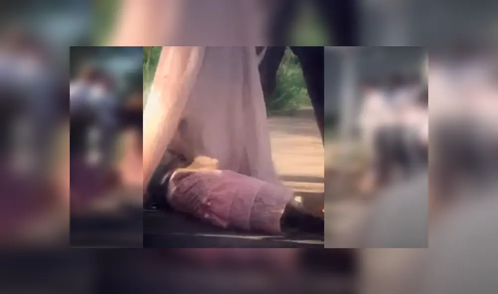 La novia quiso tener a una de sus perras como dama de honor, sin imaginar el bochornoso momento que esta la haría pasar. Video es viral en YouTube La novia quiso tener a una de sus perras como dama de honor, sin imaginar el bochornoso momento que esta la haría pasar. Video es viral en YouTube