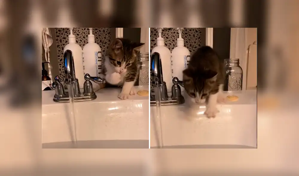 Desliza para ver la secuencia de imágenes de TikTok. Foto: hails_yeah__ Desliza para ver la secuencia de imágenes de TikTok. Foto: hails_yeah__