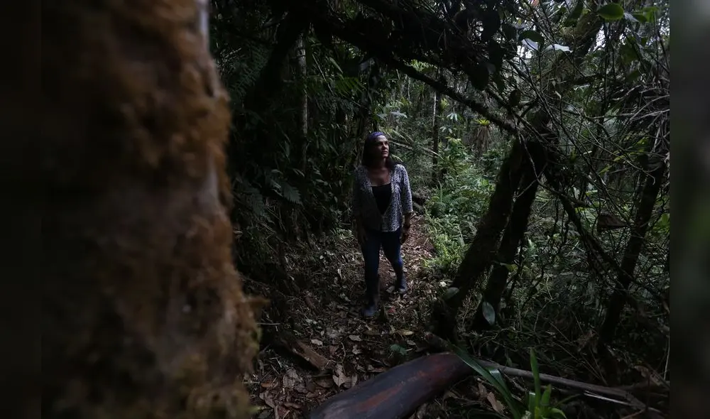 Patricia Reyna realiza baños de bosque, una práctica espiritual muy difundida en Japón. Fotografía: Michael Ramón.