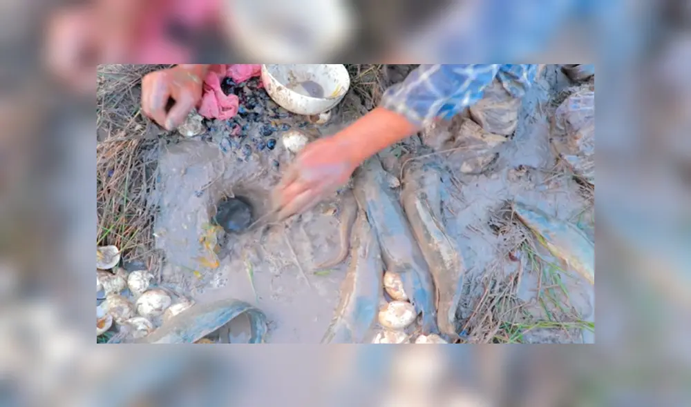 YouTube viral: arroja uvas y huevos en extraño agujero y en segundos aparecen extraños peces YouTube viral: arroja uvas y huevos en extraño agujero y en segundos aparecen extraños peces