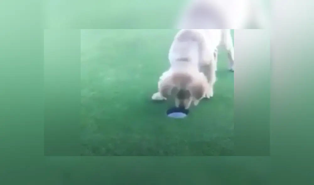 Desliza las imágenes para ver más detalles sobre esta escena que ha hecho reír a muchos en Facebook. Desliza las imágenes para ver más detalles sobre esta escena que ha hecho reír a muchos en Facebook.