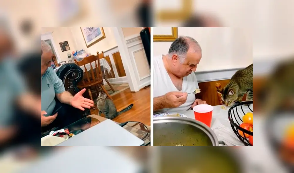 Desliza las imágenes para apreciar la emotiva escena protagonizada por un señor junto al gato de su hija. Foto: Caters Clips. Desliza las imágenes para apreciar la emotiva escena protagonizada por un señor junto al gato de su hija. Foto: Caters Clips.