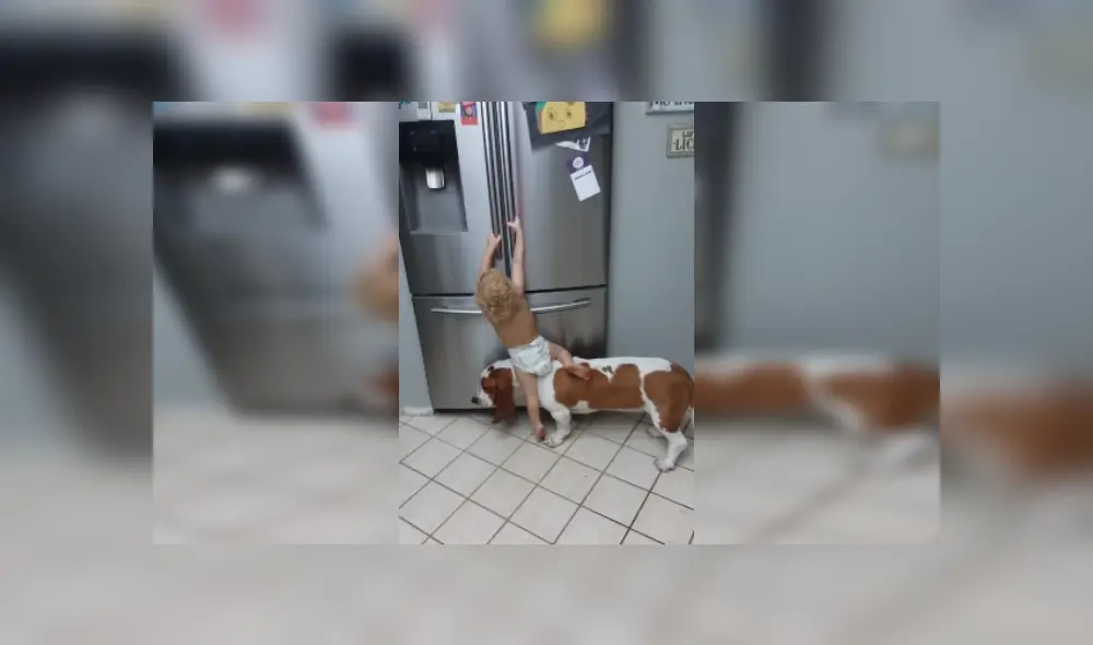 Desliza las imágenes para ver más detalles de esta escena que se volvió viral en Facebook.