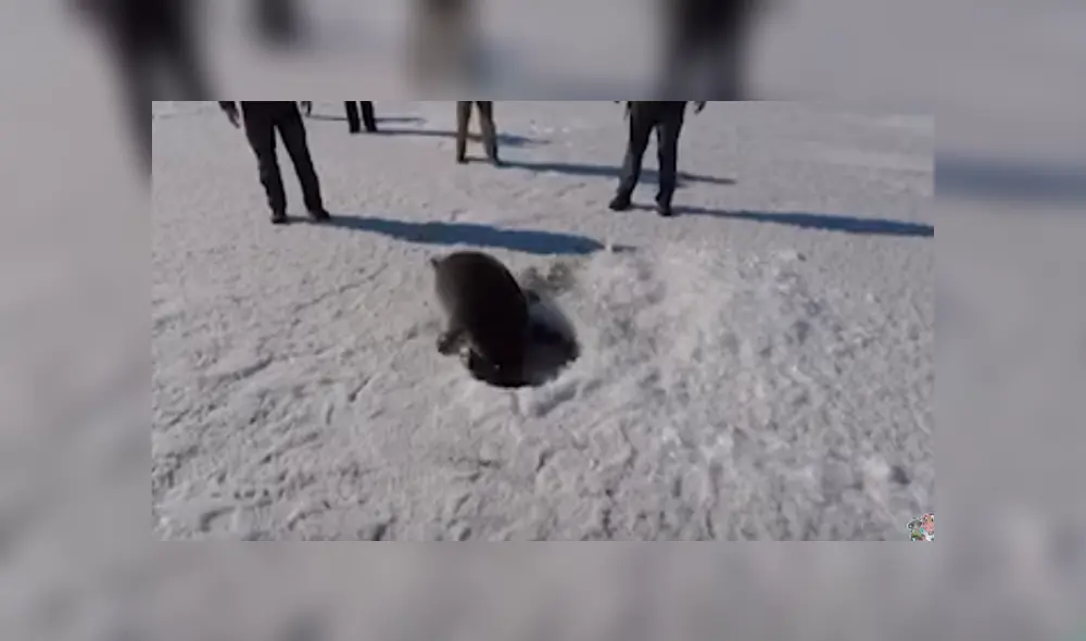 Desliza para ver los detalles del video viral publicado en YouTube. Foto: Captura. Desliza para ver los detalles del video viral publicado en YouTube. Foto: Captura.