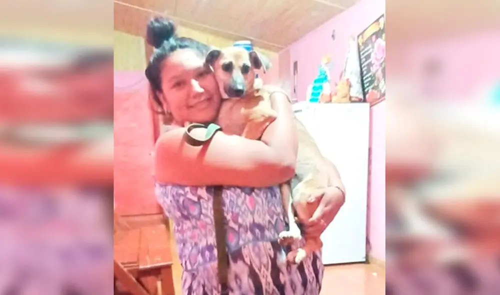 Desliza las imágenes para conocer el final feliz que consiguió una perrita llamada Cati tras ser adoptada. Foto: Misiones Online/ Referencial Desliza las imágenes para conocer el final feliz que consiguió una perrita llamada Cati tras ser adoptada. Foto: Misiones Online/ Referencial