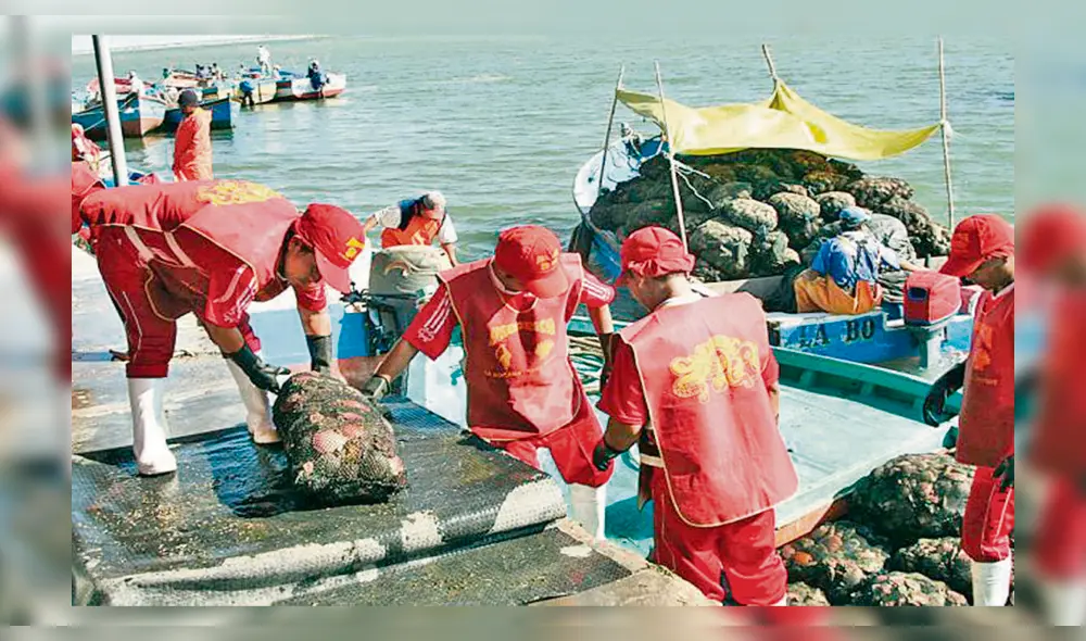 Meta. Acuicultura regional busca apoyo de autoridades.