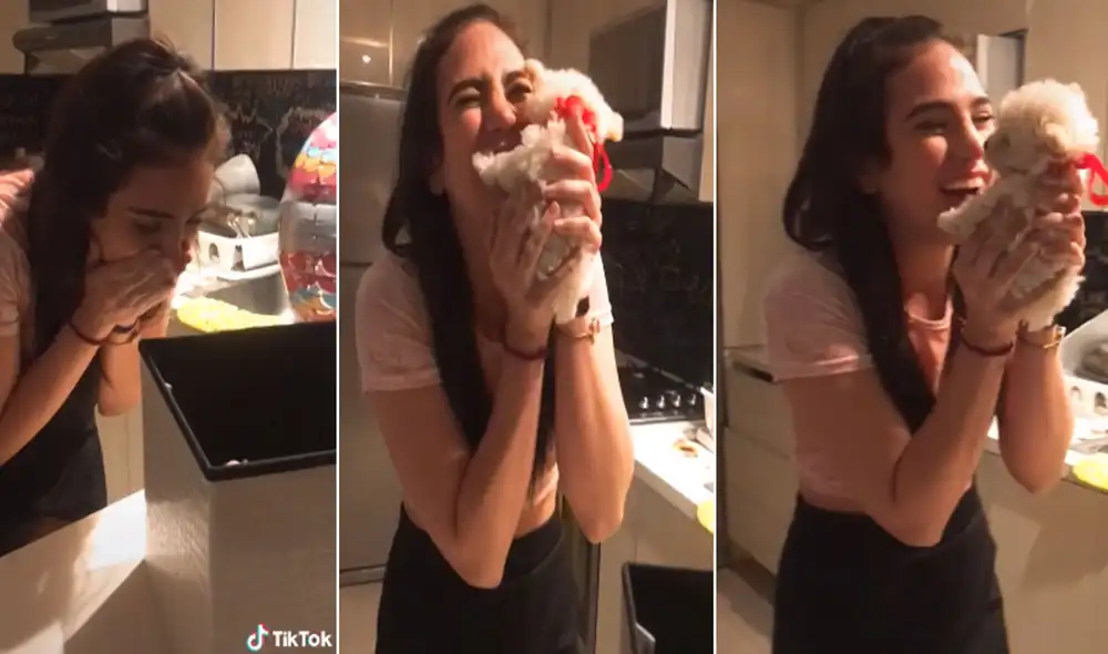 Desliza para ver más imágenes de esta tierna escena en la que una joven recibe a su primera mascota. Foto: captura de TikTok