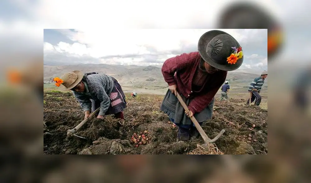 Bono rural de 760 soles: LINK para saber si eres beneficiario y cómo cobrar este subsidio estatal. Bono rural de 760 soles: LINK para saber si eres beneficiario y cómo cobrar este subsidio estatal.