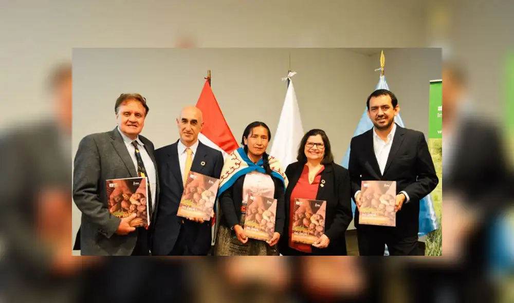 1700 familias productoras de papa fueron beneficiadas con proyecto de innovación agrícola 1700 familias productoras de papa fueron beneficiadas con proyecto de innovación agrícola