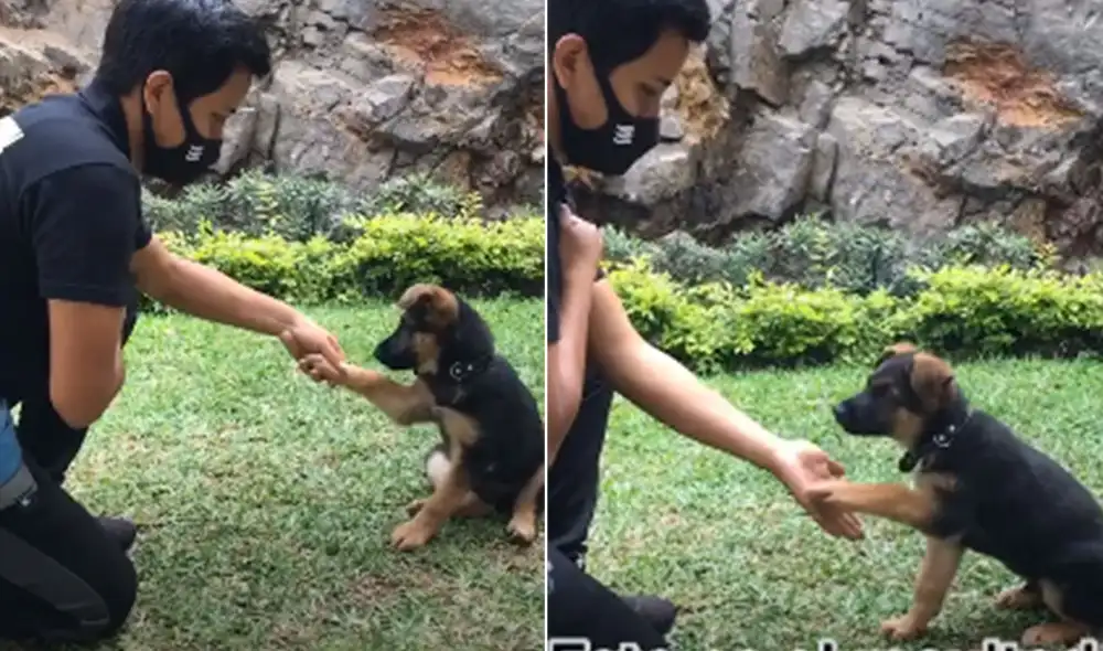 Desliza las imágenes para ver más detalles sobre este video que ha asombrado a miles de usuarios en redes sociales. Foto: captura de TikTok