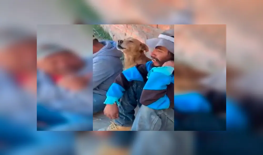 En Facebook, un perro acompañó a unos sujetos que escuchaban música y tomaban bebidas alcohólicas. En Facebook, un perro acompañó a unos sujetos que escuchaban música y tomaban bebidas alcohólicas.