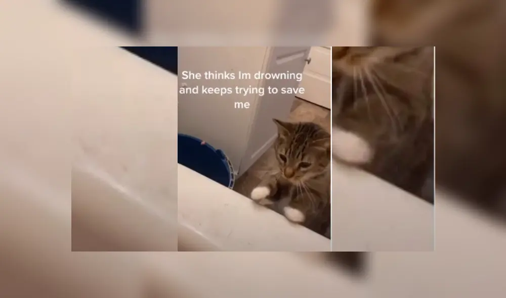 Desliza hacia la izquierda para ver más del video viral. Fotocaptura: YouTube