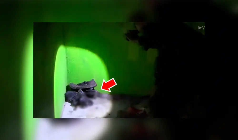 YouTube viral: joven limpia sus zapatos viejos y descubre peligrosa criatura en su interior [VIDEO]