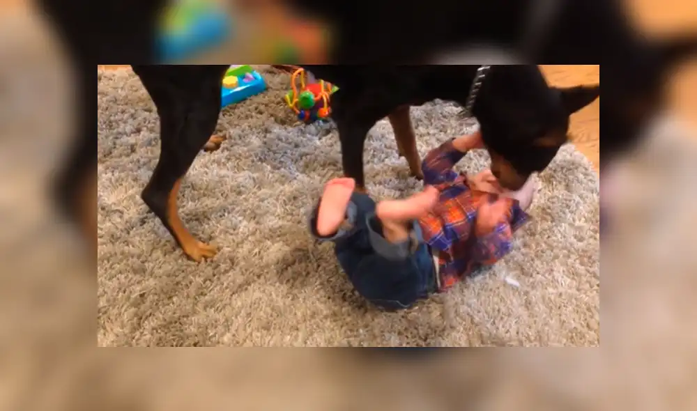 Desliza hacia la izquierda para más imágenes del divertido encuentro. (Foto: captura) Desliza hacia la izquierda para más imágenes del divertido encuentro. (Foto: captura)