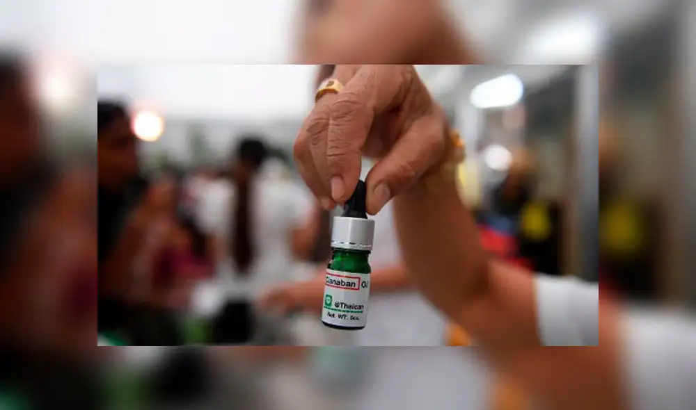 Tailandia celebra gran fiesta de marihuana tras legalización para uso médico [FOTOS]