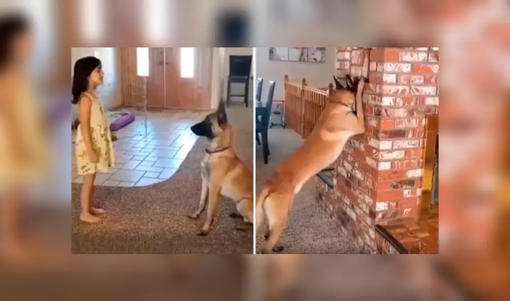 Desliza las imágenes hacia la izquierda para conocer el divertido juego de una niña junto a su mascota.