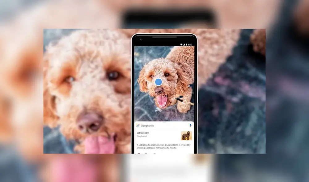 Google Lens es la aplicación que te permite realizar búsquedas de forma más sencilla y dinámica. Google Lens es la aplicación que te permite realizar búsquedas de forma más sencilla y dinámica.