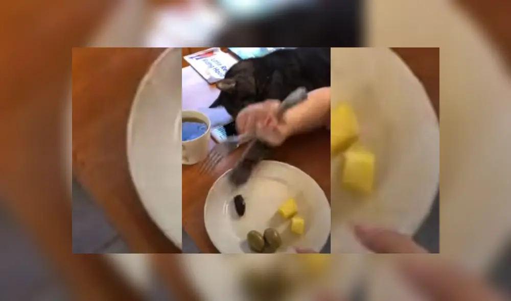 Desliza hacia la izquierda para ver más del video viral. Fotocaptura: YouTube