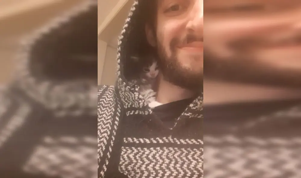 Desliza las imágenes para apreciar la cariñosa acción de un gato bebé para evitar separarse de su nuevo dueño. Fotocaptura: Facebook. Desliza las imágenes para apreciar la cariñosa acción de un gato bebé para evitar separarse de su nuevo dueño. Fotocaptura: Facebook.