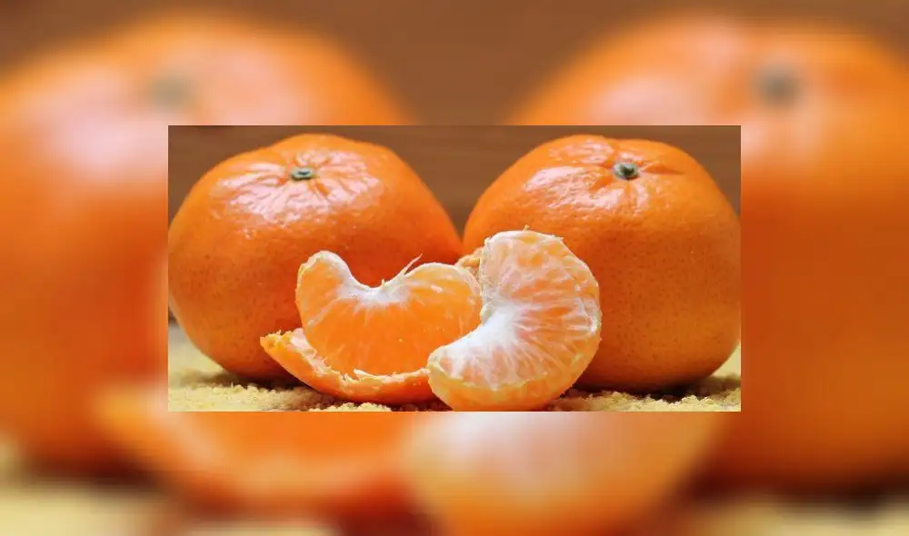 Perú se consolidó como primer exportador de mandarinas en América Latina