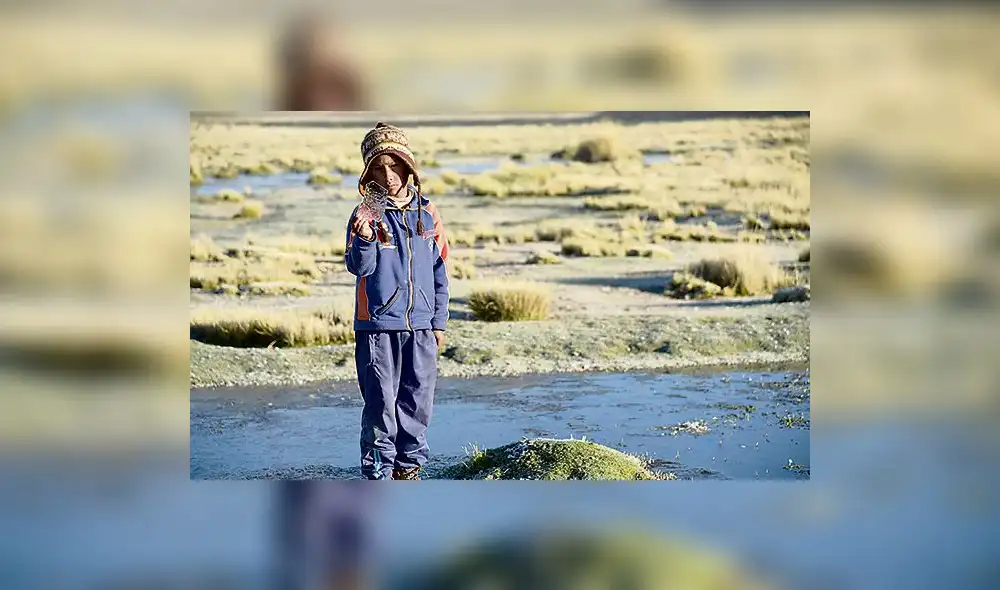 Tres regiones del sur soportan hasta -9.8 grados de temperatura