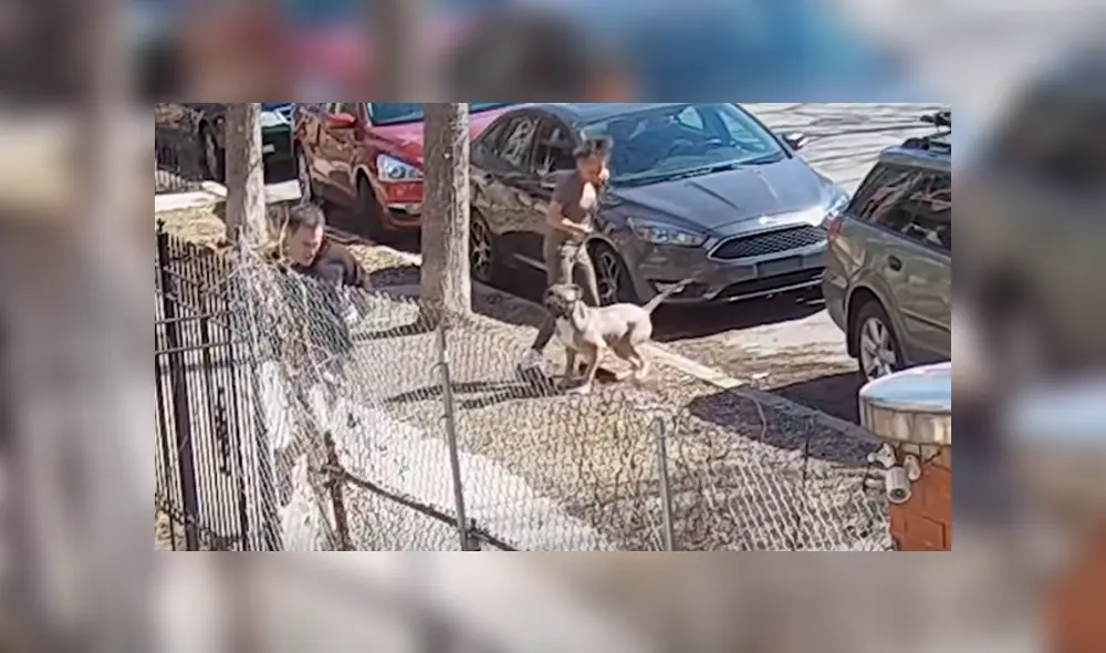 Desliza hacia la izquierda para ver imágenes de YouTube de la osada reacción del hombre que se enfrentó con un pitbull. Desliza hacia la izquierda para ver imágenes de YouTube de la osada reacción del hombre que se enfrentó con un pitbull.