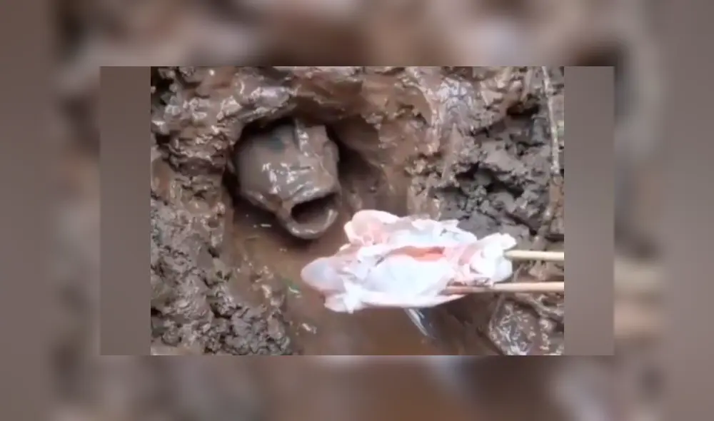 Desliza hacia la izquierda para ver la extraña pesca que hizo un joven tailandés.  Imágenes de Facebook.