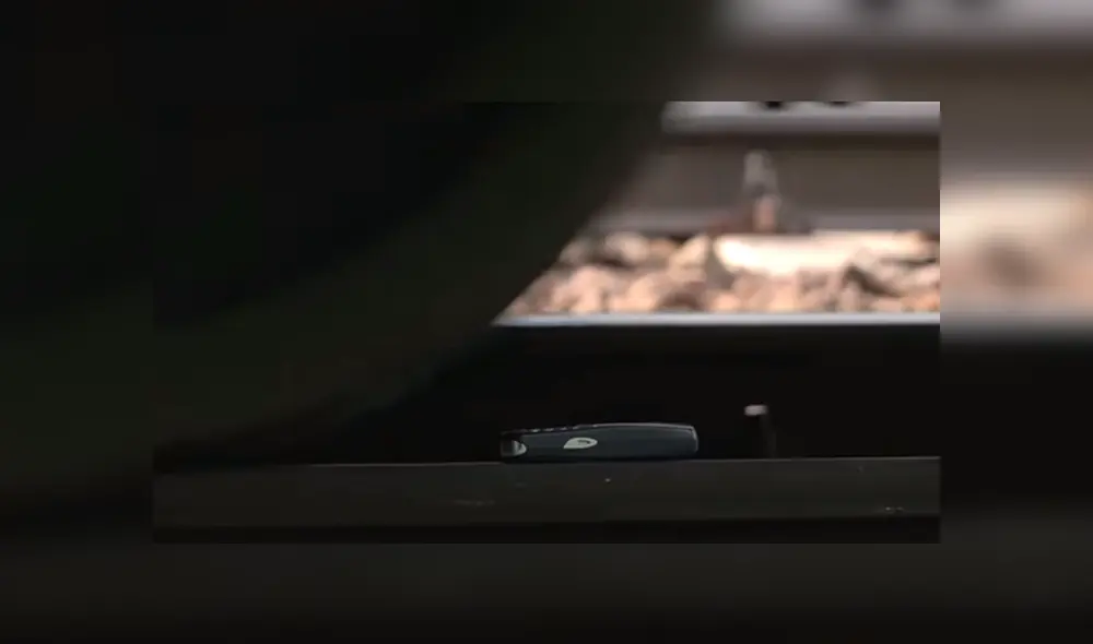 Desliza para ver los momentos más impactantes del video que se hizo viral en YouTube. Desliza para ver los momentos más impactantes del video que se hizo viral en YouTube.